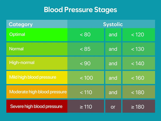 Bioland 2008 Blood Pressure Monitor Upper Arm Blood Pressure Monitor Upper Arm Blood Pressure Monitor Automatic BP Digital Machine Heart Rate Monitor Backlighting Press Arterialdsers - fulfillment - serviceMedSurgery Store For Digital Health1005007771716672 - 2005 - CHINA2005CHINABioland 2008 Blood Pressure Monitor Upper Arm Blood Pressure Monitor Upper Arm Blood Pressure Monitor Automatic BP Digital Machine Heart Rate Monitor Backlighting Press Arterialdsers - fulfillment - serviceMedSurgery Store For Digital Health1005007771716672 - 2005 - CHINA2005CHINABioland 2008 Blood Pressure Monitor Upper Arm Blood Pressure Monitor Automatic BP Digital Machine Heart Rate Monitor Backlighting Press Arterial